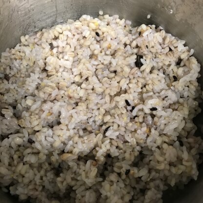 雑穀も混ぜて炊きました！炊飯器や土鍋で炊くよりも、もち麦が本当にもちもちで美味しいですね！これからは圧力鍋で炊きます！